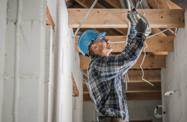Best Local Electrician Companies  in Winnebago, IL